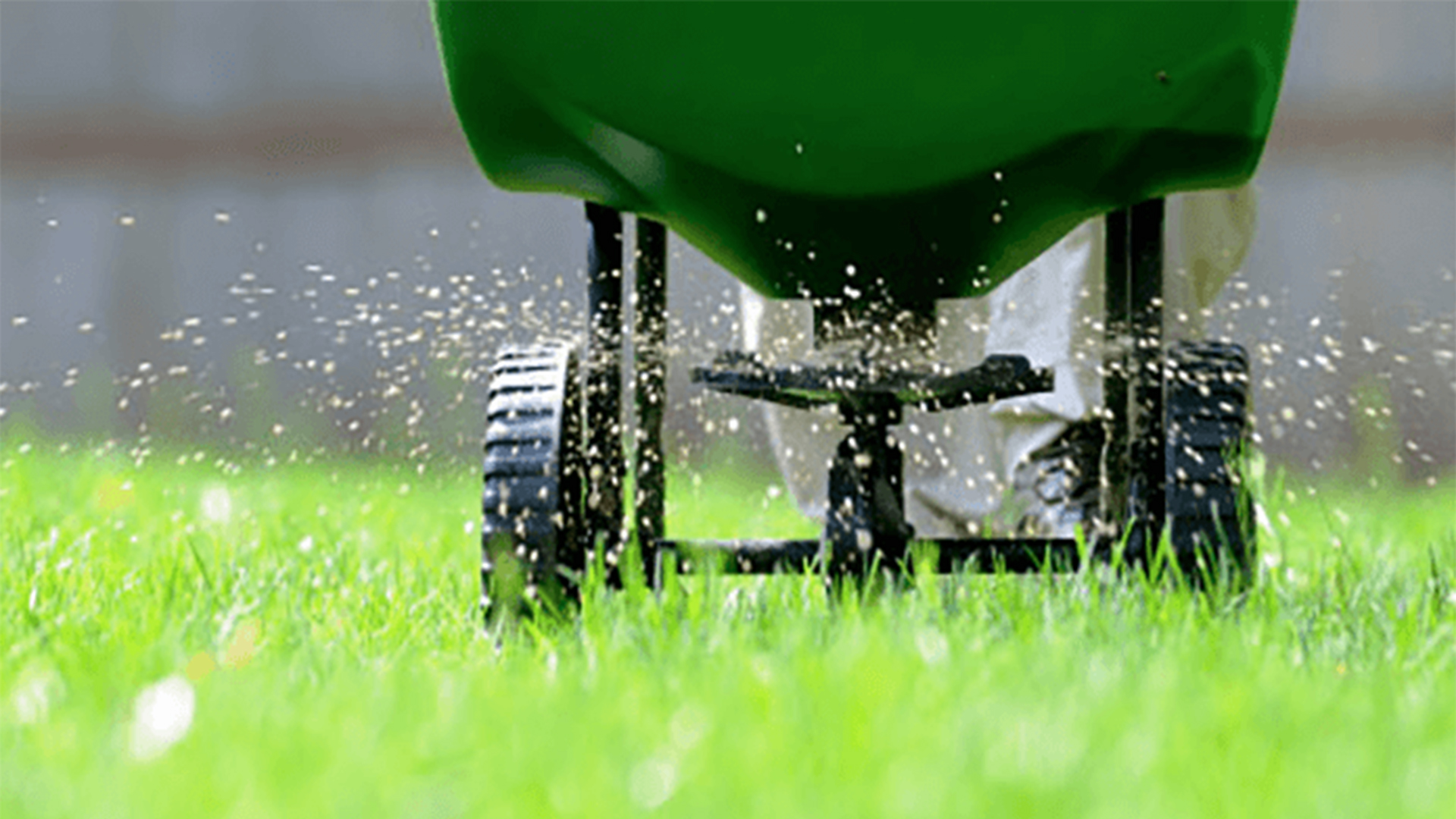 Lawn mowing and yard care